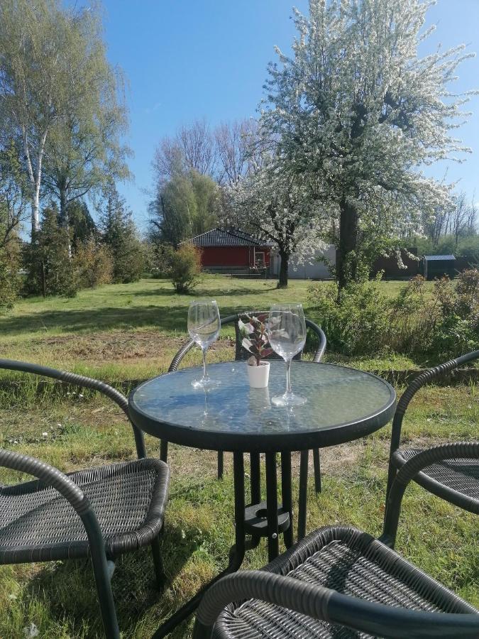 Ferienwohnung IV Sarrebriese Wanzleben-Borde Luaran gambar