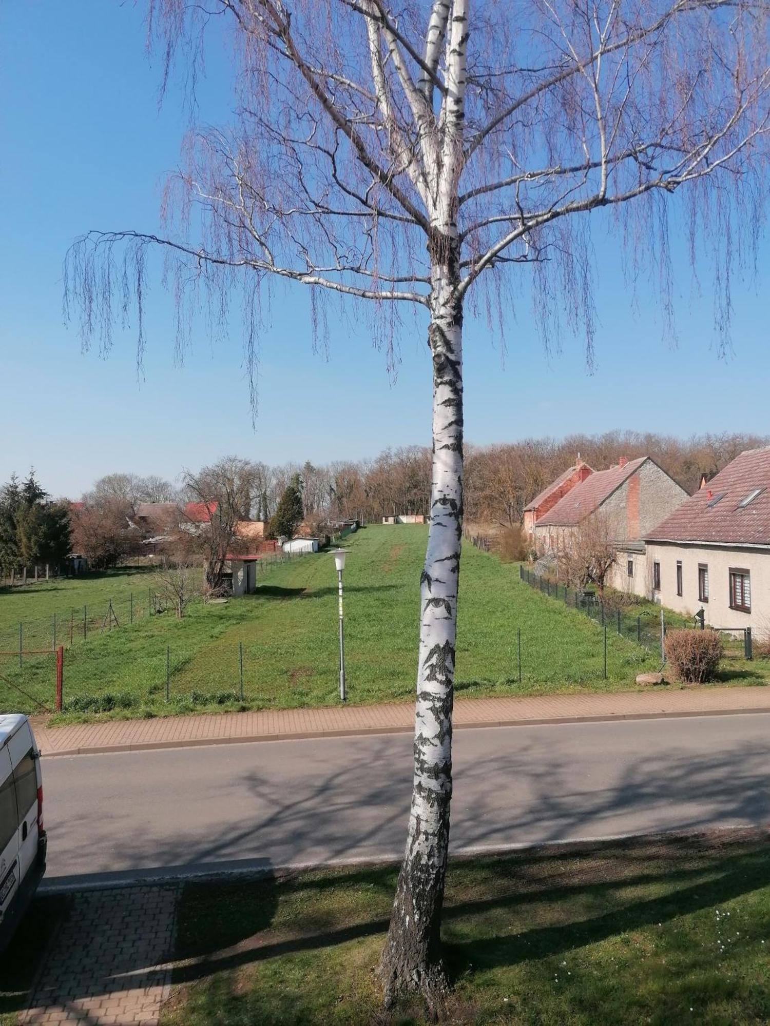 Ferienwohnung IV Sarrebriese Wanzleben-Borde Luaran gambar